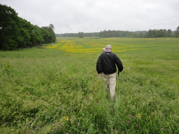 Landowner Tom Chappell and Maine Farmland Trust President Bill Bell walk out over Kennebunk farmland Chappell uses to produce hay. The farmland is among 154 acres Chappell is placing a special easement on to protect it for agricultural uses in the future. Landowner Tom Chappell and Maine Farmland Trust President Bill Bell walk out over Kennebunk farmland Chappell uses to produce hay. The farmland is among 154 acres Chappell is placing a special easement on to protect it for agricultural uses in the future.