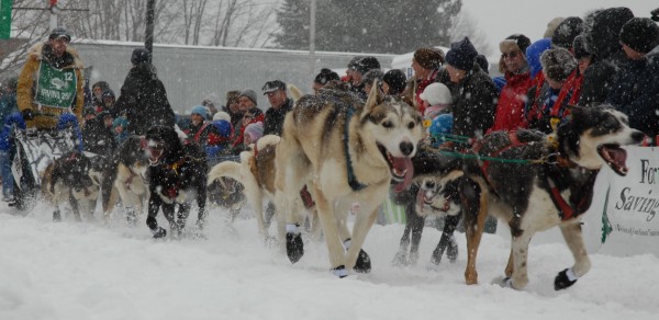 Teams run through up to 10 inches of new snow Saturday, March 3, 2012 at the start of the Can Am Crown International sled dog races in Fort Kent. CAC 250 winner Ryan Anderson arrived in Fort Kent at 8:10 Monday morning. Teams run through up to 10 inches of new snow Saturday, March 3, 2012 at the start of the Can Am Crown International sled dog races in Fort Kent. CAC 250 winner Ryan Anderson arrived in Fort Kent at 8:10 Monday morning.