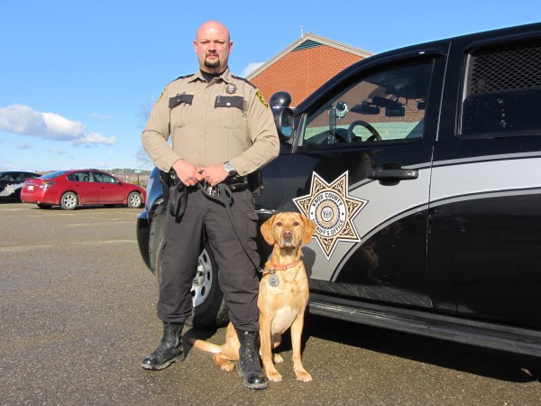 Knox County Sheriff's Deputy John Palmer and his yellow Labrador retriever, Jake, have been working together for more than four years tracking down illegal drugs. Knox County Sheriff's Deputy John Palmer and his yellow Labrador retriever, Jake, have been working together for more than four years tracking down illegal drugs.