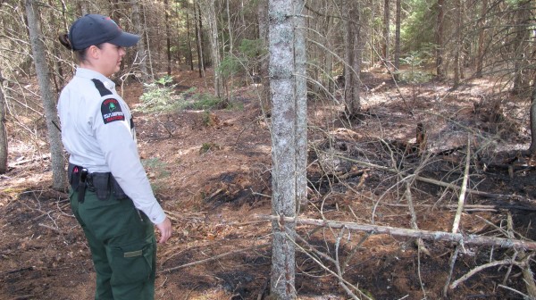 Forest Ranger Jasmine Hammond with the Maine Forest Service's office in Jonesboro looks over a wooded area that was purposely set on fire in the Columbia Falls area on Friday, March 23, 2012. The suspected arson was extinguished with minimal damage thanks to a fast response by rangers and local fire crews. Spring and summer are busy times for forest rangers due to fires. Forest Ranger Jasmine Hammond with the Maine Forest Service's office in Jonesboro looks over a wooded area that was purposely set on fire in the Columbia Falls area on Friday, March 23, 2012. The suspected arson was extinguished with minimal damage thanks to a fast response by rangers and local fire crews. Spring and summer are busy times for forest rangers due to fires.