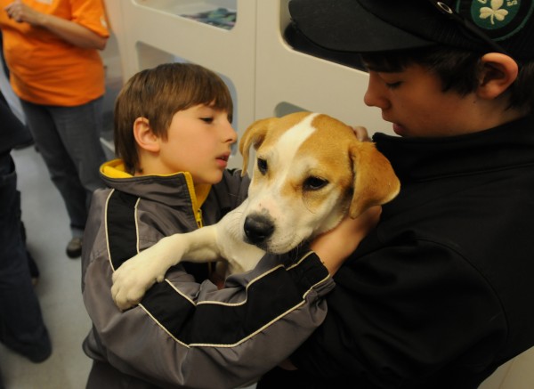 Nick Saunders (left) of Bucksport hooks a collar on a puppy that is being adopted by his brother Jordon Cunningham (right) at the Bangor Humane Society in Bangor on Friday, March 30, 2012. Nick Saunders (left) of Bucksport hooks a collar on a puppy that is being adopted by his brother Jordon Cunningham (right) at the Bangor Humane Society in Bangor on Friday, March 30, 2012.