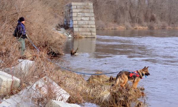 Deborah Palman and her dog Quinn search along the bank of the Kennebec River in Waterville Saturday morning. About 100 people, including Maine Warden Service, State Police and several search and rescue teams from around the state, participated in a search for Ayla Reynolds in the Waterville area. Deborah Palman and her dog Quinn search along the bank of the Kennebec River in Waterville Saturday morning. About 100 people, including Maine Warden Service, State Police and several search and rescue teams from around the state, participated in a search for Ayla Reynolds in the Waterville area.