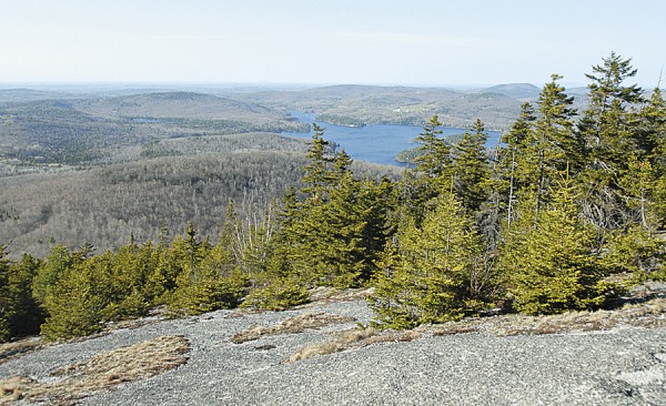 Until 1976, skiers who frequented the Bald Mountain Ski Area in Dedham could pause on this summit ledge and enjoy a panoramic view that includes Phillips Lake and the Dedham Hills. The ski area once had at least 12 trails; today little evidence remains atop Bald Mountain that the ski area ever existed. Until 1976, skiers who frequented the Bald Mountain Ski Area in Dedham could pause on this summit ledge and enjoy a panoramic view that includes Phillips Lake and the Dedham Hills. The ski area once had at least 12 trails; today little evidence remains atop Bald Mountain that the ski area ever existed.
