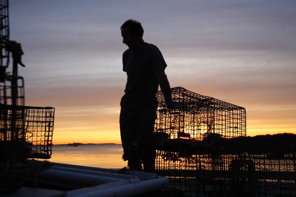 Lobsterman Bruce Steeves pauses while stacking traps at dawn in Portland in June 2009, a year of a bountiful harvest. Lobsterman Bruce Steeves pauses while stacking traps at dawn in Portland in June 2009, a year of a bountiful harvest.