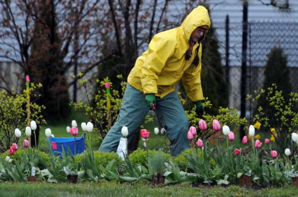 Susan Beebe works in a flower bed near the Rockland water treatment plant on Tuesday, May 8, 2012. Beebe has lived on the midcoast for 26 years. "It's a lot better now than when I moved here," she said. Susan Beebe works in a flower bed near the Rockland water treatment plant on Tuesday, May 8, 2012. Beebe has lived on the midcoast for 26 years. "It's a lot better now than when I moved here," she said.