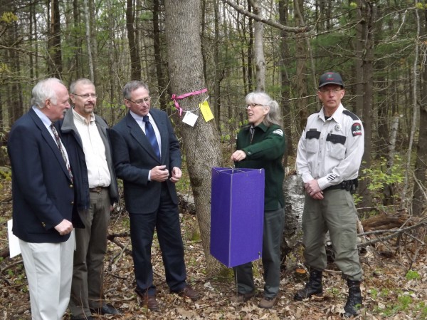 Colleen Teerling (second from right), Maine Forest Service entomologist, demonstrates how the emerald ash borer trap works during a press conference at the Bolton Hill Facility in Augusta on Thursday, May 3, 2012. From left are Rick Abare of the Maine Campground Owners Association, state plant health director Terry Bourgoin, Walt Whitcomb, Maine Department of Agriculture commissioner, Colleen Teerling and Maine Forest Ranger Kent Nelson. Colleen Teerling (second from right), Maine Forest Service entomologist, demonstrates how the emerald ash borer trap works during a press conference at the Bolton Hill Facility in Augusta on Thursday, May 3, 2012. From left are Rick Abare of the Maine Campground Owners Association, state plant health director Terry Bourgoin, Walt Whitcomb, Maine Department of Agriculture commissioner, Colleen Teerling and Maine Forest Ranger Kent Nelson.