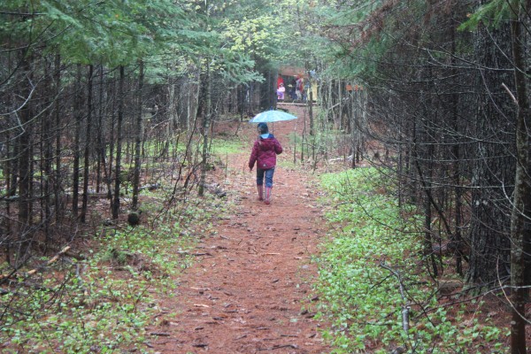 Brooke Bolstridge, a first-grader at Brownville Elementary School, walks down her school's interpretive nature trail on May 10, 2012, during the school's first "Nature Trail Celebration Day." Brooke Bolstridge, a first-grader at Brownville Elementary School, walks down her school's interpretive nature trail on May 10, 2012, during the school's first "Nature Trail Celebration Day."