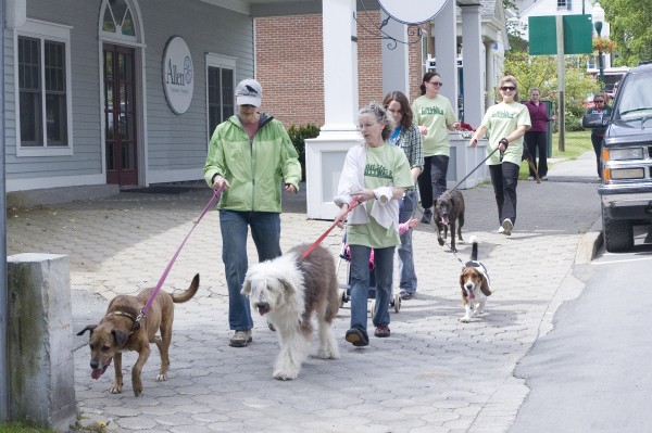 Dog lovers and their pets from all over the midcoast area took part in the fifth annual Mutt Walk, a fundraising event for the Camden-Rockport Animal Rescue League on Saturday, June 16, 2012. Participants walked to downtown Camden and back to Camden Street where the shelter is located. Dog lovers and their pets from all over the midcoast area took part in the fifth annual Mutt Walk, a fundraising event for the Camden-Rockport Animal Rescue League on Saturday, June 16, 2012. Participants walked to downtown Camden and back to Camden Street where the shelter is located.
