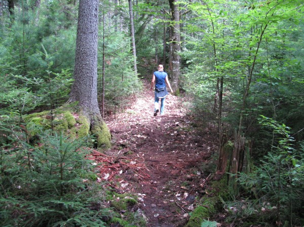 Ellsworth's city planner, Michele Gagnon, inspects a trail in Branch Lake Public Forest in August 2011. The city has contracted Maine Conservation Corps to add 2.6 more miles of trails in the city forest this October. Ellsworth's city planner, Michele Gagnon, inspects a trail in Branch Lake Public Forest in August 2011. The city has contracted Maine Conservation Corps to add 2.6 more miles of trails in the city forest this October.
