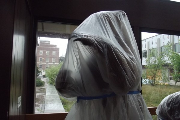A mounted bear specimen poses, covered by a plastic tarp during summer renovations, in Nutting hall on Aug. 16. It may not look like it right now, but University of Maine officials say two of the flagship campus' largest construction projects, Nutting Hall and Stewart, will be completed on schedule despite the university missing out on nearly $3.7 million in voter-approved bond funding that is being withheld by the state. A mounted bear specimen poses, covered by a plastic tarp during summer renovations, in Nutting hall on Aug. 16. It may not look like it right now, but University of Maine officials say two of the flagship campus' largest construction projects, Nutting Hall and Stewart, will be completed on schedule despite the university missing out on nearly $3.7 million in voter-approved bond funding that is being withheld by the state.