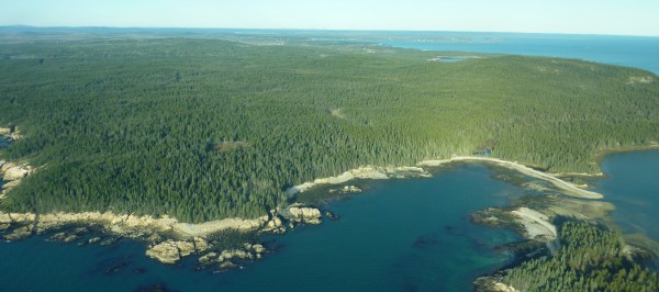On Dec. 19, 2011, the Lyme Timber Company of Hanover, N.H., purchased approximately 3,200 acres of forestland on the Schoodic Peninsula in Maine with the intention of conserving it. On Dec. 19, 2011, the Lyme Timber Company of Hanover, N.H., purchased approximately 3,200 acres of forestland on the Schoodic Peninsula in Maine with the intention of conserving it.