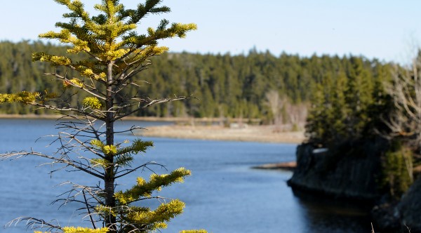 Even though it looks clean on the surface, one of the most polluted places in Maine is the former Callahan Mine Corp. site in Brooksville. Even though it looks clean on the surface, one of the most polluted places in Maine is the former Callahan Mine Corp. site in Brooksville.