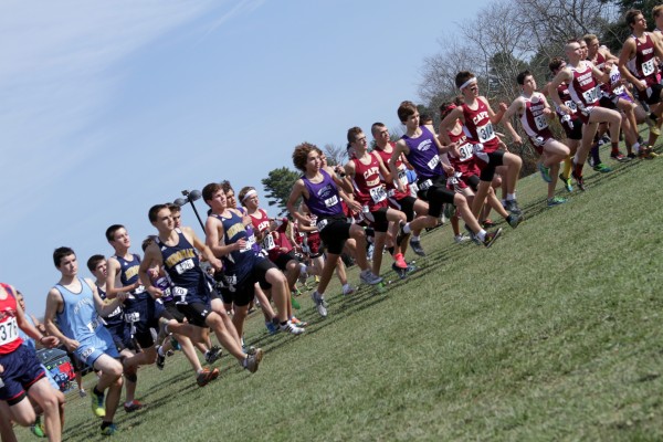 Runners take off at the start of the Class B boys race during the state championship meet at the Troy Howard Middle School course in Belfast Saturday. Cape Elizabeth went on to win the team title. Runners take off at the start of the Class B boys race during the state championship meet at the Troy Howard Middle School course in Belfast Saturday. Cape Elizabeth went on to win the team title.