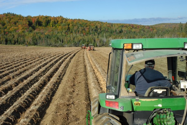 Aroostook County was sunny and dry as the annual potato harvest got under way. Aroostook County was sunny and dry as the annual potato harvest got under way.