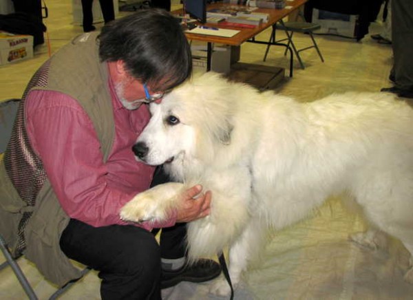 Banjo, a 22-month-old great Pyrenees puppy lobbying for a dog park on Saturday in Bethel, gets some attention from Doug Farrar of Bethel during the Community & Business Expo inside the gym at Telstar High School in Bethel. Farrar is a member of the Bethel Dog Park Committee. Banjo, a 22-month-old great Pyrenees puppy lobbying for a dog park on Saturday in Bethel, gets some attention from Doug Farrar of Bethel during the Community & Business Expo inside the gym at Telstar High School in Bethel. Farrar is a member of the Bethel Dog Park Committee.