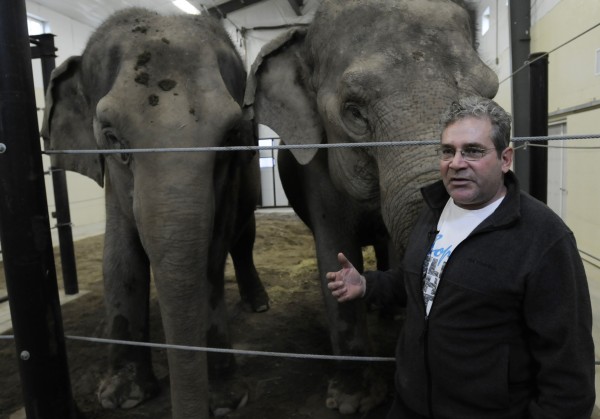 Jim Laurita poses with Rosie (right) and Opal, two Asian elephants at his facility in Hope on Wednesday, Oct. 31, 2012. Laurita has brought the elephants he has known for 30 years to Hope to help them with injuries and to educate the public about elephants including the plight of elephants at the hands of ivory poachers around the world. Jim Laurita poses with Rosie (right) and Opal, two Asian elephants at his facility in Hope on Wednesday, Oct. 31, 2012. Laurita has brought the elephants he has known for 30 years to Hope to help them with injuries and to educate the public about elephants including the plight of elephants at the hands of ivory poachers around the world.
