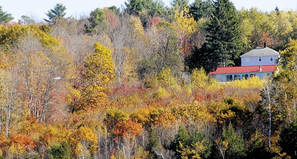 The red metal roof of a North Bucksport building contrasts with the autumn hues in this photo taken from Water Street in Winterport. The red metal roof of a North Bucksport building contrasts with the autumn hues in this photo taken from Water Street in Winterport.