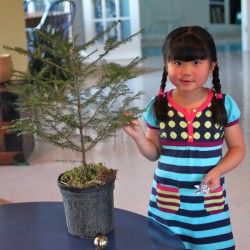 Ting-ting Ray-Smith, age 5, of Milbridge, plans to use a Chinese New Year theme to decorate her tree for the WHRL Tree Auction. Ting-ting attends Milbridge Elementary School and is the daughter of Brittany Ray and Ron Smith. Ting-ting Ray-Smith, age 5, of Milbridge, plans to use a Chinese New Year theme to decorate her tree for the WHRL Tree Auction. Ting-ting attends Milbridge Elementary School and is the daughter of Brittany Ray and Ron Smith.