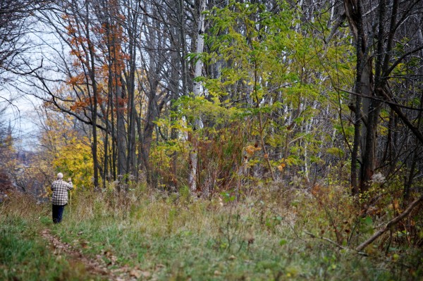 A man walks through the Canco Woods in Portland on Nov. 5, 2012. A man walks through the Canco Woods in Portland on Nov. 5, 2012.