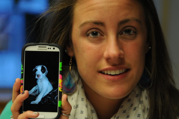 Chelsea Arbour holds her cellphone with a picture of her stolen puppy Loki on it during an interview in Bangor on Saturday. Arbour claims the dog, along with her computer equipment and camera, were stolen on Dec. 23, 2012 from the Veazie home where she was renting a room. Chelsea Arbour holds her cellphone with a picture of her stolen puppy Loki on it during an interview in Bangor on Saturday. Arbour claims the dog, along with her computer equipment and camera, were stolen on Dec. 23, 2012 from the Veazie home where she was renting a room.