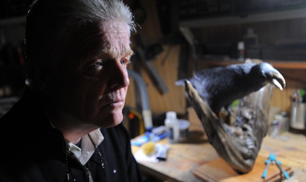 Holden artist Claude O'Donnell says a bird sculpture he made was damaged when he slammed on his breaks to avoid hitting a vehicle that cut him off. Holden artist Claude O'Donnell says a bird sculpture he made was damaged when he slammed on his breaks to avoid hitting a vehicle that cut him off.