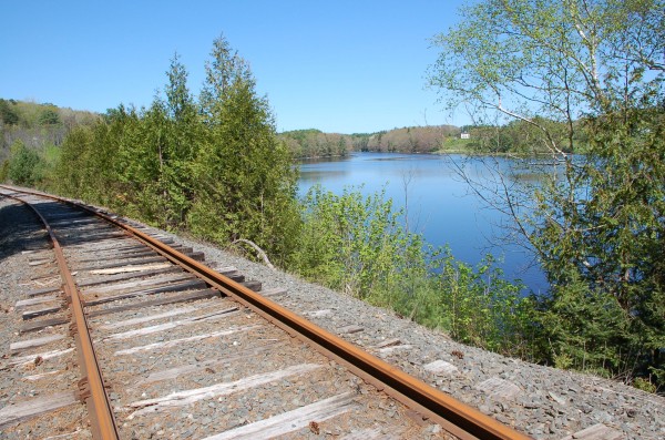 A view looking north along the former Belfast & Moosehead Lake Railroad line. The Belfast City Council is considering building a pedestrian walkway along the rail line. A view looking north along the former Belfast & Moosehead Lake Railroad line. The Belfast City Council is considering building a pedestrian walkway along the rail line.