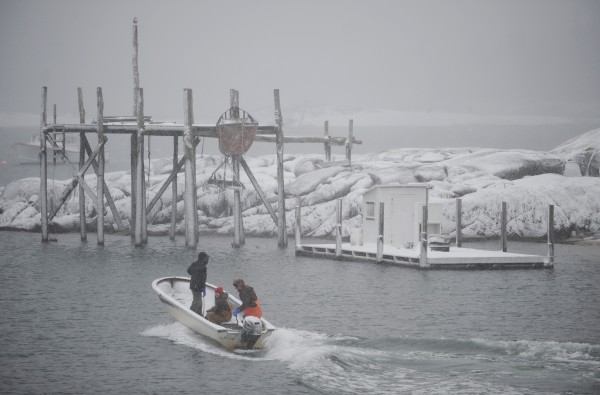 Billy Damon, Makayla Gordon and Ben Waite pilot a small boat through Stonington Harbor on their way to fill lobster boats with bait from Damon Lobster Co. on Sunday during a snowstorm. Billy Damon, Makayla Gordon and Ben Waite pilot a small boat through Stonington Harbor on their way to fill lobster boats with bait from Damon Lobster Co. on Sunday during a snowstorm.