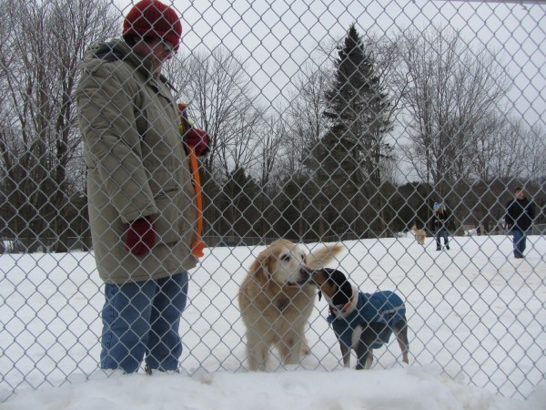 Angie Ferris stands with dogs Rosie and Maddy at the dog park in Rockportn created by the PAWS Animal Adoption Center. Angie Ferris stands with dogs Rosie and Maddy at the dog park in Rockportn created by the PAWS Animal Adoption Center.