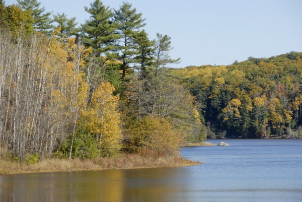 Yellow leaves are the dominant color along the Penobscot River in Winterport (left) and Orrington (right) on Oct. 17, 2012. The Penobscot Nation is seeking an injunction to stop Maine game wardens from policing the river and preventing tribal members from engaging in sustenance fishing. Yellow leaves are the dominant color along the Penobscot River in Winterport (left) and Orrington (right) on Oct. 17, 2012. The Penobscot Nation is seeking an injunction to stop Maine game wardens from policing the river and preventing tribal members from engaging in sustenance fishing.