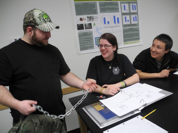 Kevin Isherwood, 21, of Warwick, R.I., examines a piece of chain in a Unity College class as part of his major in captive wildlife care and education. He and students Jen Amidon (center), 21, of Trumbull, Conn., and Alex Bach (right), 21, of Pittsburgh were working on a design for a mobile for elephants. Kevin Isherwood, 21, of Warwick, R.I., examines a piece of chain in a Unity College class as part of his major in captive wildlife care and education. He and students Jen Amidon (center), 21, of Trumbull, Conn., and Alex Bach (right), 21, of Pittsburgh were working on a design for a mobile for elephants.