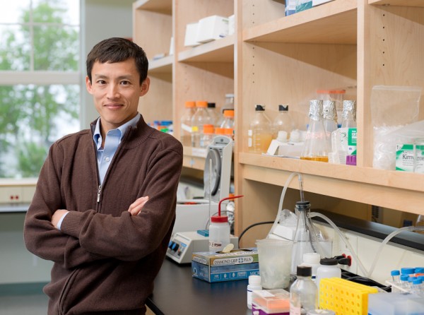 Mount Desert Island Biological Laboratory researcher Voot Yin will serve as chief scientific officer of Novo Biosciences. Mount Desert Island Biological Laboratory researcher Voot Yin will serve as chief scientific officer of Novo Biosciences.