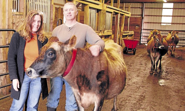 Suzanne and Ed Moreshead own Siberia Farms LLC Hermon and raise beef cattle and Jersey dairy cattle. They also operate a licensed on-site dairy that produces mlk products sold along with beef and eggs at two local farmers' markets and to customers in the greater Bangor area.
Photo taken on Thursday, Jan. 31, 2013. Suzanne and Ed Moreshead own Siberia Farms LLC Hermon and raise beef cattle and Jersey dairy cattle. They also operate a licensed on-site dairy that produces mlk products sold along with beef and eggs at two local farmers' markets and to customers in the greater Bangor area.
Photo taken on Thursday, Jan. 31, 2013.