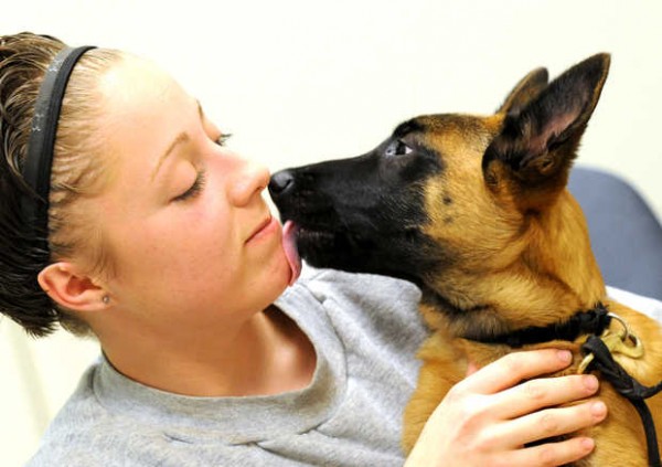 Britni Walters gets a kiss from Merry, a 16-week-old Belgian malinois puppy she was training for the potential to become a police dog during her incarceration at the Maine Correctional Center in Windham. Walters and Merry were photographed in late February. At the beginning of March, the program was moved to Warren, separating Merry and Walters. Britni Walters gets a kiss from Merry, a 16-week-old Belgian malinois puppy she was training for the potential to become a police dog during her incarceration at the Maine Correctional Center in Windham. Walters and Merry were photographed in late February. At the beginning of March, the program was moved to Warren, separating Merry and Walters.