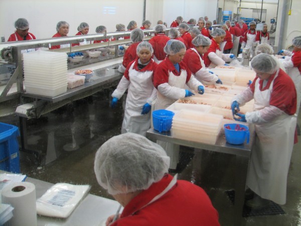 Dozens of workers pick through cooked lobster meat at a Paturel processing plant in Deer Island, N.B., on June 6, 2012. Paturel is the processing division of East Coast Seafood, which is partnering with Garbo Lobster to buy the former Stinson Seafood plant in the Gouldsboro village of Prospect Harbor. Dozens of workers pick through cooked lobster meat at a Paturel processing plant in Deer Island, N.B., on June 6, 2012. Paturel is the processing division of East Coast Seafood, which is partnering with Garbo Lobster to buy the former Stinson Seafood plant in the Gouldsboro village of Prospect Harbor.