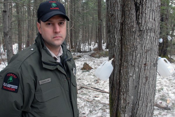 Maine Forest Ranger Thomas Liba stands in woods near an illegal maple syrup operation in the Katahdin region on Tuesday. Maine Forest Ranger Thomas Liba stands in woods near an illegal maple syrup operation in the Katahdin region on Tuesday.