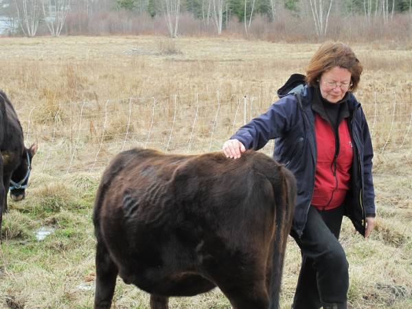Deborah Evans, owner of Bagaduce Farm in Brooksville, Maine, supports a local ordinance that exempts certain local food exchanges from state and federal oversight, including inspection and licensing. Deborah Evans, owner of Bagaduce Farm in Brooksville, Maine, supports a local ordinance that exempts certain local food exchanges from state and federal oversight, including inspection and licensing.