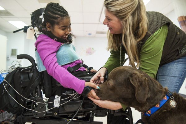 Asheauna Pryor, 8, gives a treat to Lewis, the Chesapeake Bay retriever who is helping her recover from surgery at the Kennedy Kreiger Institute in Baltimore. Lending assistance is Amy Wernecke, Lewis' owner and handler. Asheauna Pryor, 8, gives a treat to Lewis, the Chesapeake Bay retriever who is helping her recover from surgery at the Kennedy Kreiger Institute in Baltimore. Lending assistance is Amy Wernecke, Lewis' owner and handler.