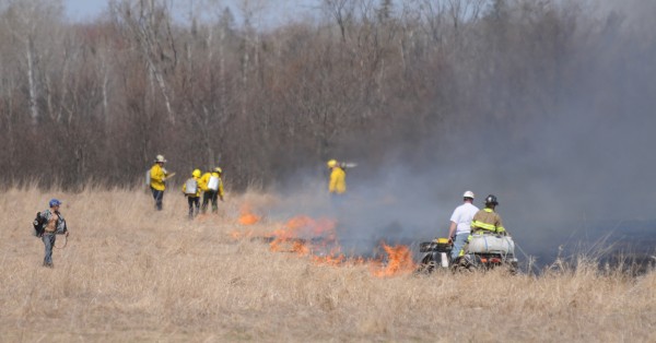 Forest rangers and firefighters work the edge of a 7-acre grass and woodlands fire in Bradford on Monday. A farmer who had a permit started the fire but it got out of control when winds picked up. Forest rangers and firefighters work the edge of a 7-acre grass and woodlands fire in Bradford on Monday. A farmer who had a permit started the fire but it got out of control when winds picked up.