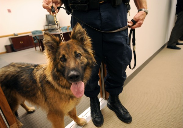 Dorsta, a U.S. Customs and Border Patrol K-9, and her partner, Officer Gerald Hammond, were recognized for their outstanding service in a case of high- level fraud and returning more than $150,00 to victims. The United States Attorney's Office recognized law enforcement officers who have performed outstanding service to aid victims of crime and bring criminals to justice. The awards ceremony was held Thursday morning at the Federal Building in Bangor. Dorsta, a U.S. Customs and Border Patrol K-9, and her partner, Officer Gerald Hammond, were recognized for their outstanding service in a case of high- level fraud and returning more than $150,00 to victims. The United States Attorney's Office recognized law enforcement officers who have performed outstanding service to aid victims of crime and bring criminals to justice. The awards ceremony was held Thursday morning at the Federal Building in Bangor.
