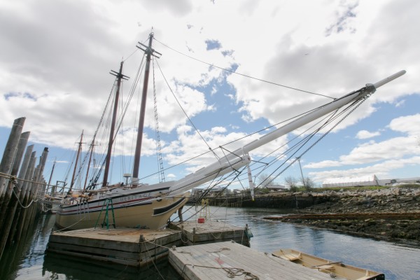 The Heritage, a coasting schooner anchored in Rockland, received a fresh coat of paint and other maintenance as its crew prepares for the summer sailing season. Owners Douglas and Linda Lee built the schooner themselves in 1983 and provide tours along coastal Maine. The Heritage, a coasting schooner anchored in Rockland, received a fresh coat of paint and other maintenance as its crew prepares for the summer sailing season. Owners Douglas and Linda Lee built the schooner themselves in 1983 and provide tours along coastal Maine.