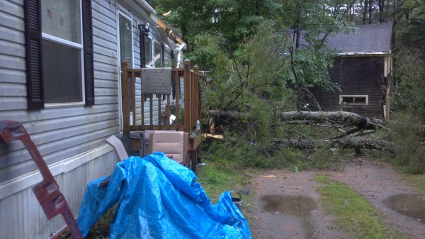 A pine tree sits in the yard of a Hudson woman after it collapsed onto her mobile home during Tuesday's severe storms. A pine tree sits in the yard of a Hudson woman after it collapsed onto her mobile home during Tuesday's severe storms.