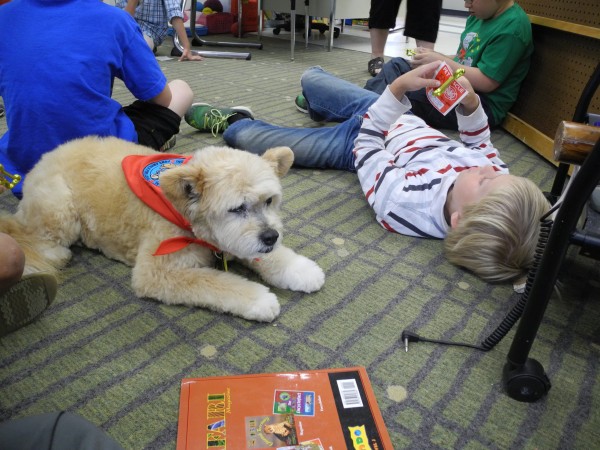 Teaka the dog is retiring after 14 years of going to school with her owner, elementary school teacher Page Dilts. Teaka is a trained therapy dog, and has helped children with reading, speech, feelings and more, according to school officials. Teaka the dog is retiring after 14 years of going to school with her owner, elementary school teacher Page Dilts. Teaka is a trained therapy dog, and has helped children with reading, speech, feelings and more, according to school officials.