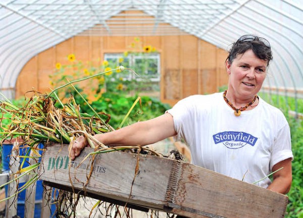 Gloria Varney carries garlic she just picked from her indoor garden that is several weeks ahead of most farms. "We try to experiment and be innovative. With these, we beat our competition to market," she said. Gloria Varney carries garlic she just picked from her indoor garden that is several weeks ahead of most farms. "We try to experiment and be innovative. With these, we beat our competition to market," she said.