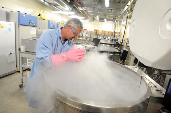 Kurt Christiansen, BioRepository Supervisor at The Jackson Laboratory, opens one of the liquid nitrogen refrigerators in the Bio Bank where 7,000 different strains of mice (sperm and embryos) are stored using cryopreservation. Kurt Christiansen, BioRepository Supervisor at The Jackson Laboratory, opens one of the liquid nitrogen refrigerators in the Bio Bank where 7,000 different strains of mice (sperm and embryos) are stored using cryopreservation.
