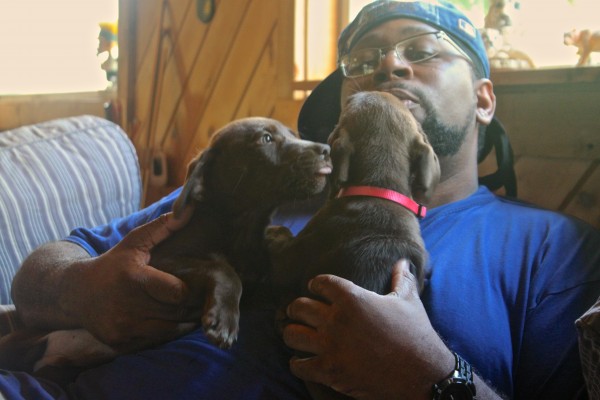 Floyd Bradley, 35, plays with his two puppies on July 22, 2013, at his home in Woodville, where he was struck by lightning on the evening of June 19. He adopted the puppies a day later, and he thinks they might help him in his recovery. Floyd Bradley, 35, plays with his two puppies on July 22, 2013, at his home in Woodville, where he was struck by lightning on the evening of June 19. He adopted the puppies a day later, and he thinks they might help him in his recovery.