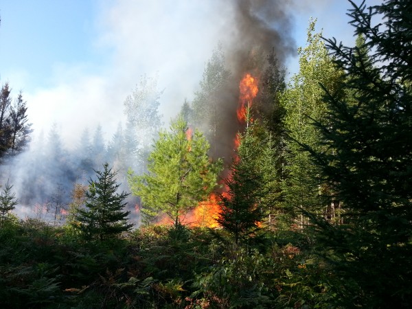 A fire allegedly caused by arson in Indian Township, according to Maine Forest Rangers. A fire allegedly caused by arson in Indian Township, according to Maine Forest Rangers.