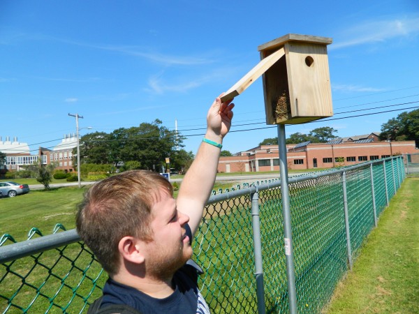 University of New England senior Brendan Emanuel looks in on the nest inside of a birdhouse placed on the perimeter of a school soccer field. University of New England senior Brendan Emanuel looks in on the nest inside of a birdhouse placed on the perimeter of a school soccer field.