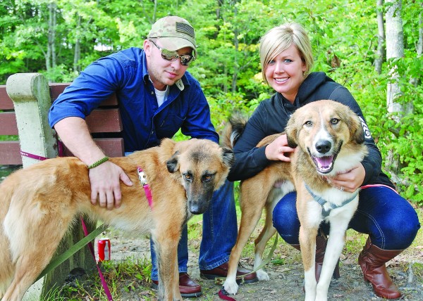 Chris Chiasson and wife Anna Maria Cannan with Alphy and Grizz, two "kuchi" dogs they rescued from Afghanistan, where Chris was stationed. In trying to help bring a puppy home for Chris, Canna created Puppy Rescue Mission, which recently celebrated its 500th rescued dog with a party in Kennebunk. Chris Chiasson and wife Anna Maria Cannan with Alphy and Grizz, two "kuchi" dogs they rescued from Afghanistan, where Chris was stationed. In trying to help bring a puppy home for Chris, Canna created Puppy Rescue Mission, which recently celebrated its 500th rescued dog with a party in Kennebunk.