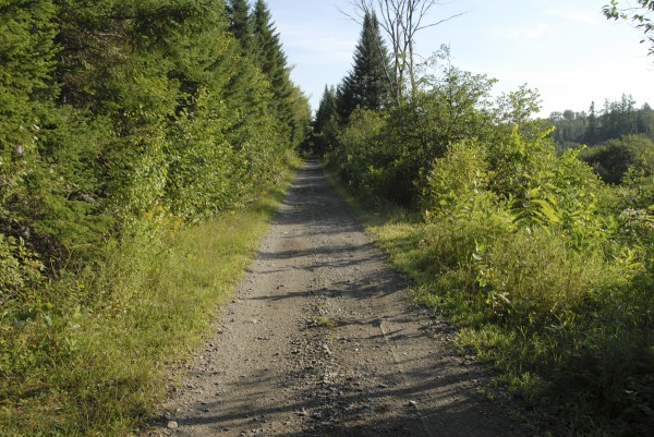 The Lagrange-Medford Multi-Use Trail points north alongside Cold Stream in Lagrange. The trail follows the former Bangor & Aroostook Railroad Medford Cutoff from South Lagrange to Medford. The Lagrange-Medford Multi-Use Trail points north alongside Cold Stream in Lagrange. The trail follows the former Bangor & Aroostook Railroad Medford Cutoff from South Lagrange to Medford.
