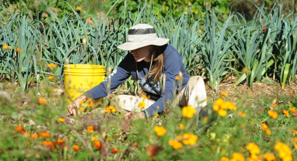 Christine Lipsky, who works for NOAA's National Marine Fisheries Service, is one of many who is out of work due to the government shut down. She is spending her time catching up on gardening and house projects. Christine Lipsky, who works for NOAA's National Marine Fisheries Service, is one of many who is out of work due to the government shut down. She is spending her time catching up on gardening and house projects.